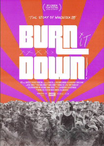 Burn it Down documentary poster